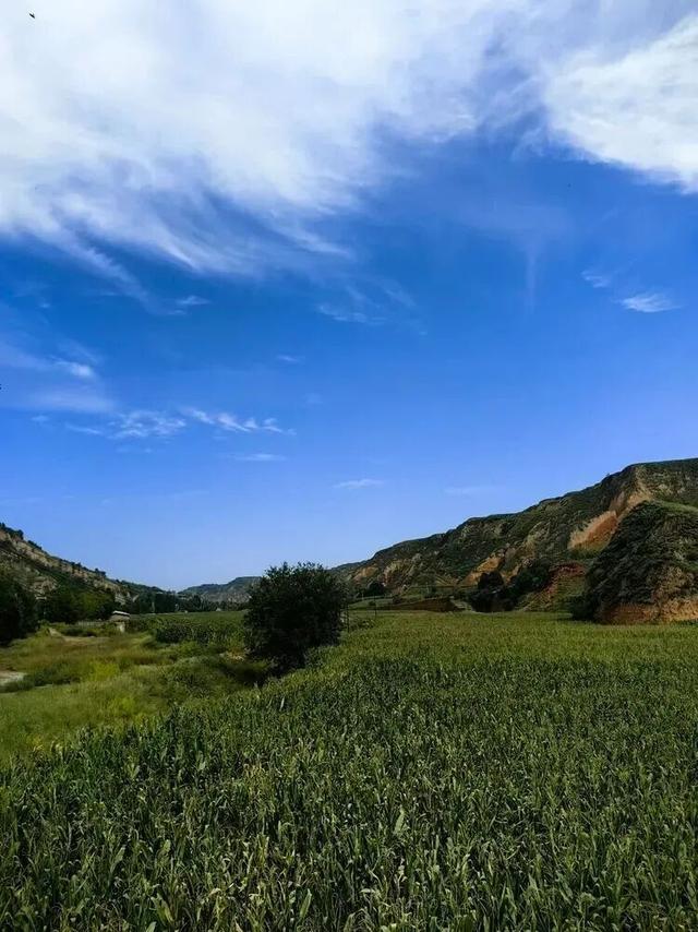 山西吕梁·石楼县车家坡村