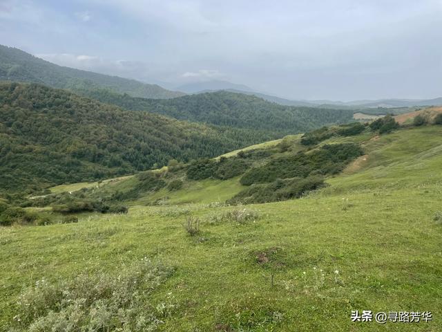 相逢在临夏草长沟的风里