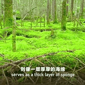 长白山巅，定格天地为媒的浪漫
