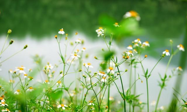 情人走到这一步就是缘分将尽的信号！