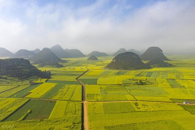 2-3月适合去哪里旅行，这6个地方，赴一场春日之约，看看好春光