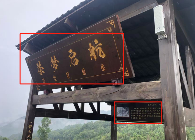 你知道吗？乐山马边的茶园里藏着一本武侠小说！