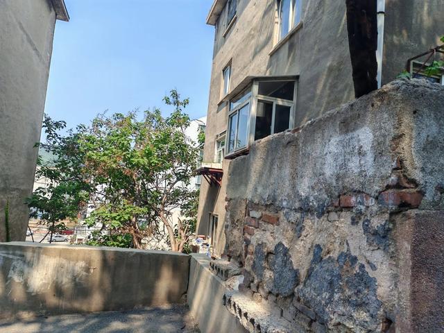 烟台的坐地户和靠山户