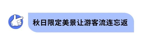 太 “ye” 闹 啦!