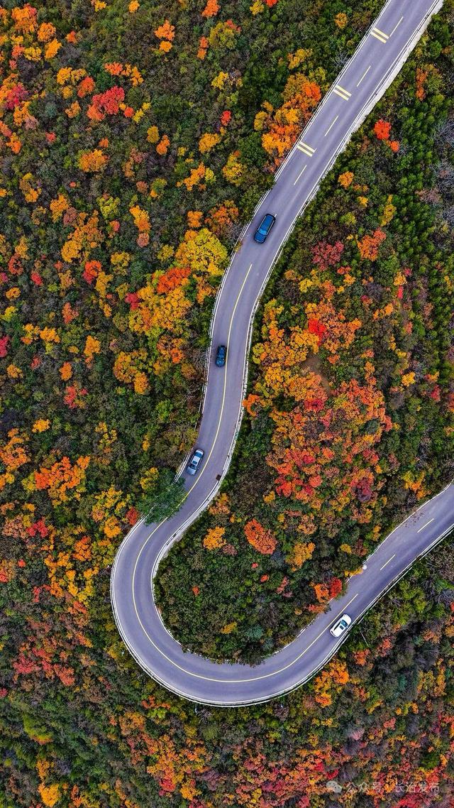 寻色三晋·山河入画｜太行一号旅游公路：在红叶云海间，驶入秋日的山水长卷