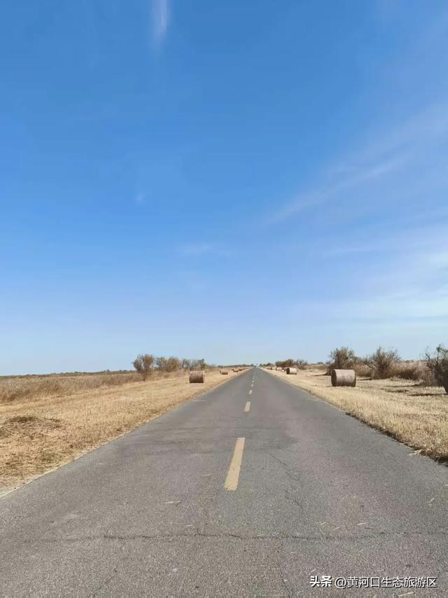 【黄河口生态旅游区】 来黄河口遇见“瑞士卷” 与候鸟的诗意邂逅
