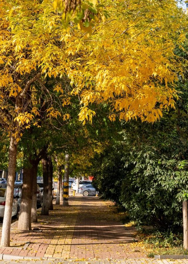 【多图预警！】这里不是5A景区，是鲁南制药！