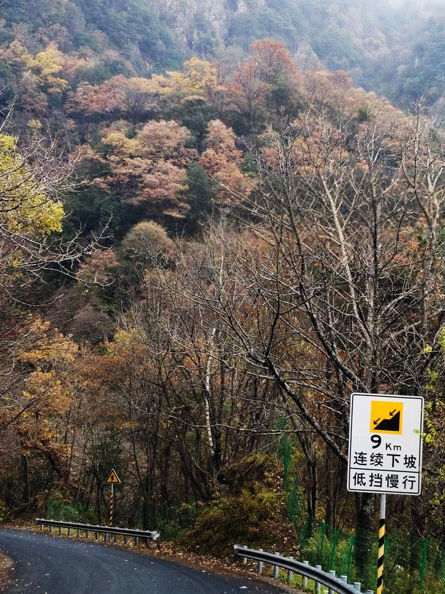 南行漫记：329公里的穿越之路，带你一起看红叶