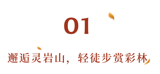 美疯！我就说初冬的都江堰有真东西！