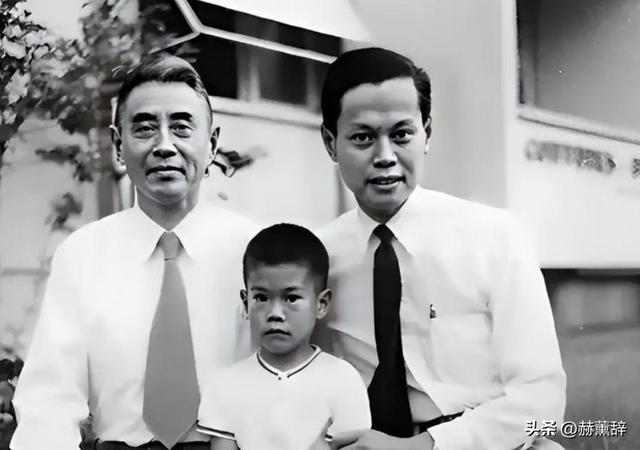 已证实杨振宁长子去世，看49岁翁帆现在做的事 才知道我们误会她了