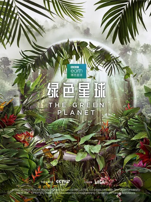 最高9.8分，零差评，这5部神作建议收藏
