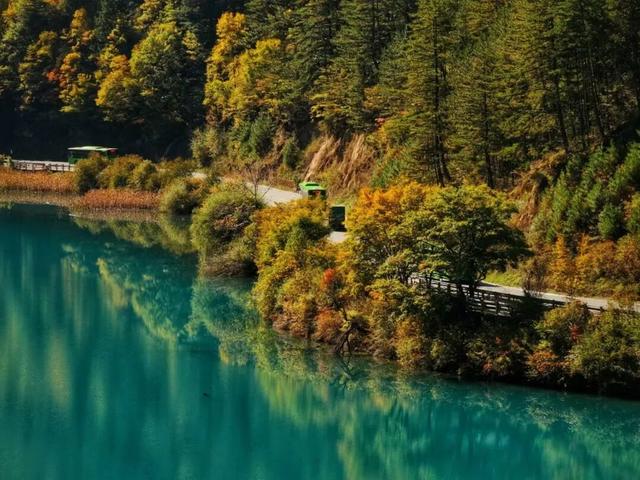 碧水吻醒秋色，落叶撞进九寨沟的调色盘