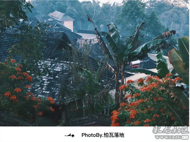 景迈山｜糯干古寨、翁基古寨、千年茶林