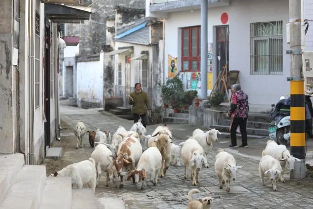 黟川秋叙·徒步沐泉寻画境——3天2夜康养之旅 | 皖美冬日 | 第十五届安徽国际文化旅游节