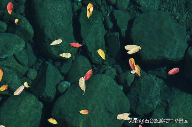 霜尽冬来，焕新赴约盼君至