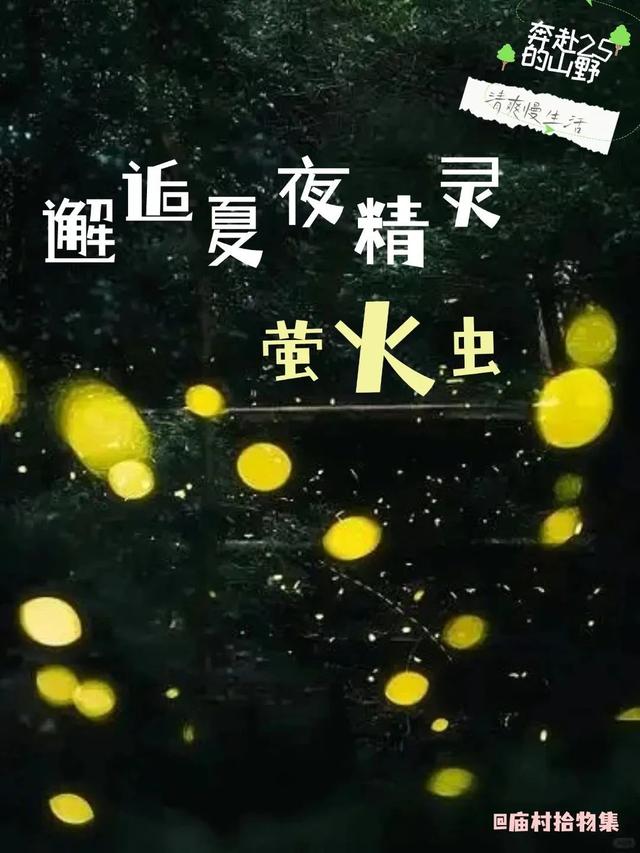 厦门山野假日！沈月同款清爽慢生活→