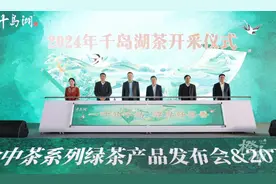 2024年千岛湖茶今天开采，预计3月5日以后迎来采摘旺季图片