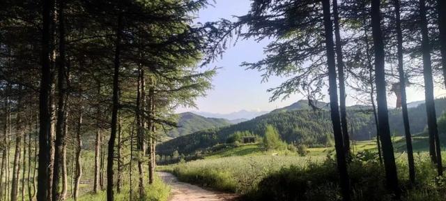 武都秋韵：马营山乡的诗意时光
