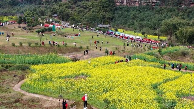 2月28日！赤水张家湾油菜花节启幕！
