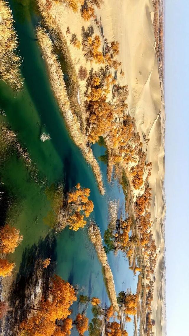 邢强 | 秋游南疆