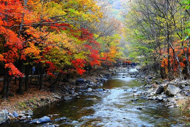 不藏了，美景天成：去辽宁这五处红叶佳景，体验最诗意的北国