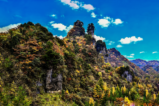 上坝彩林 彩林坝上