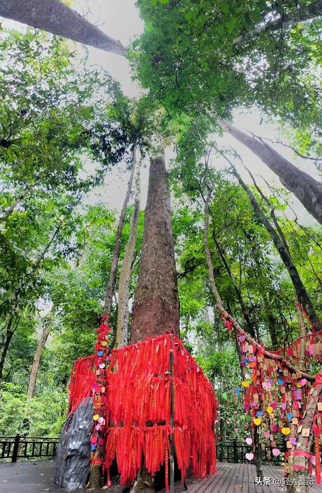 云南西双版纳，极具鲜明特色的旅游胜地。