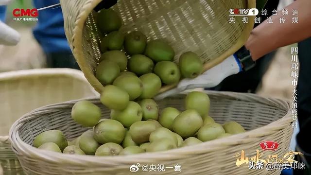 看完《山水间的家》，一人说一个爱上夹关镇的理由！