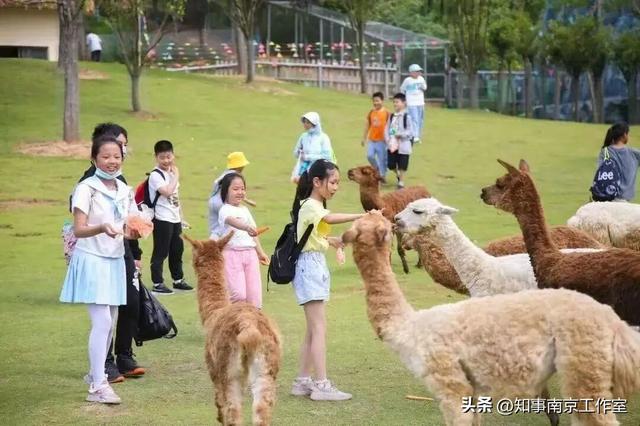 假期二刷南京，我劝你一定要上「北岸」！