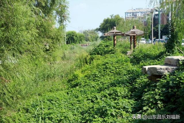 南郝东西大街图片随拍