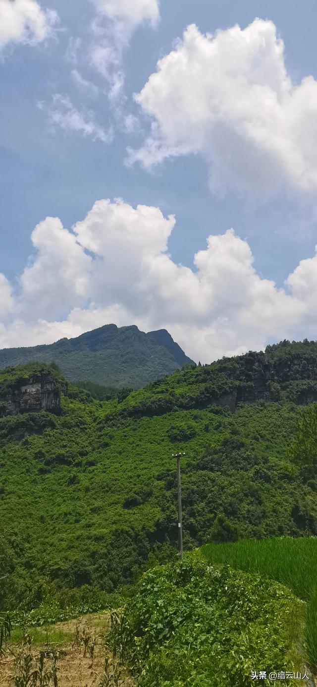 南川野游●山王坪（非景区）
