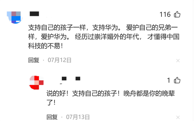 舆情两极分化！为啥“昇腾转向GPGPU”的传闻炸锅了？