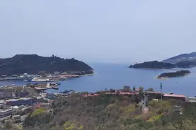 休渔期将至，这6种海鱼都不是野生的，学会甄别，以后不花冤枉钱图片