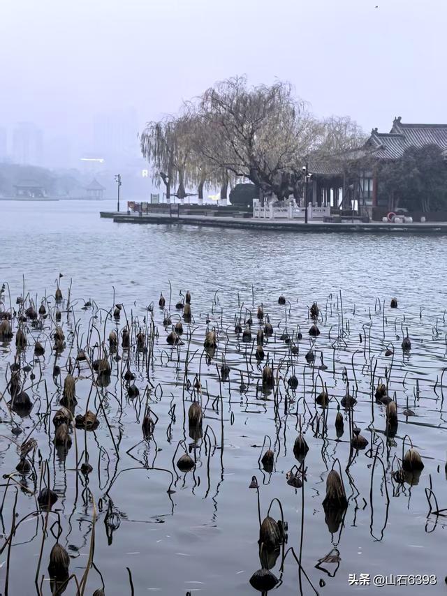 新华社原军事记者陶俊峰泉城美拍：《冬雾中的大明湖》