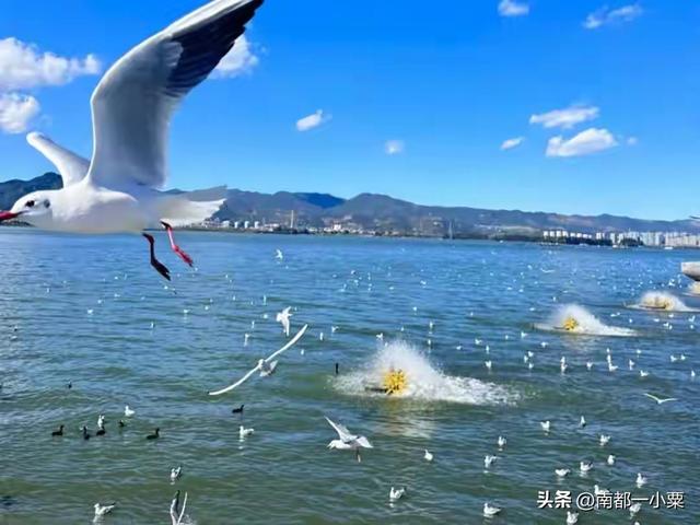 云南昆明，四大古镇