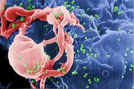 盘点史上最恐怖的十大病毒，新冠没有上榜，艾滋病毒仅排第三图片