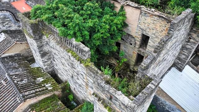 探秘温贯炮楼：深藏于高要乡间的古代军事堡垒