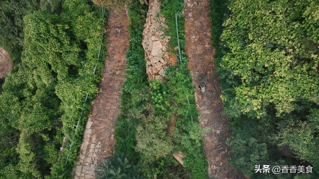 大山边的“糖醋”县，教你如何给生活加点甜