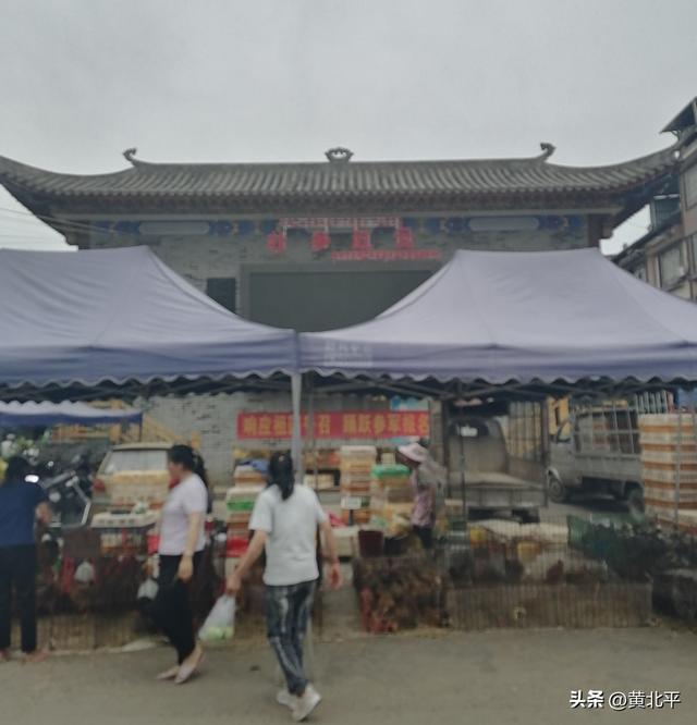 广西南宁市武鸣区民国时因械斗分出两个新圩，混得最好的是罗波圩