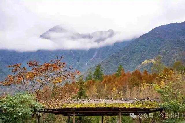 漫山彩林，琉璃坝的色彩美学