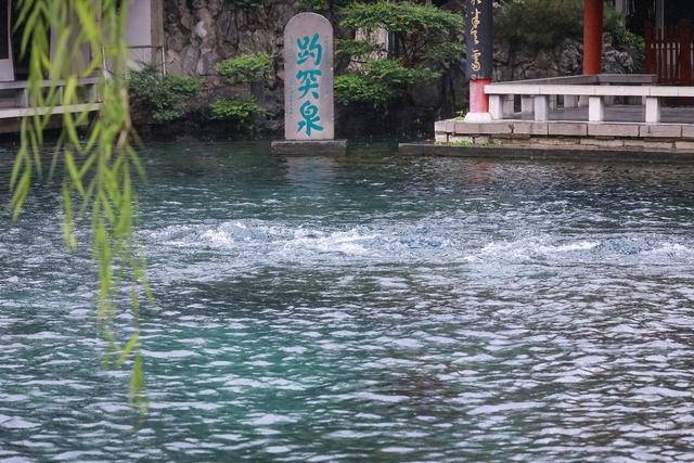 济南赏泉正当时