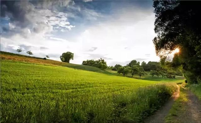 走过千山万水才懂：很多事，走着走着就释怀了