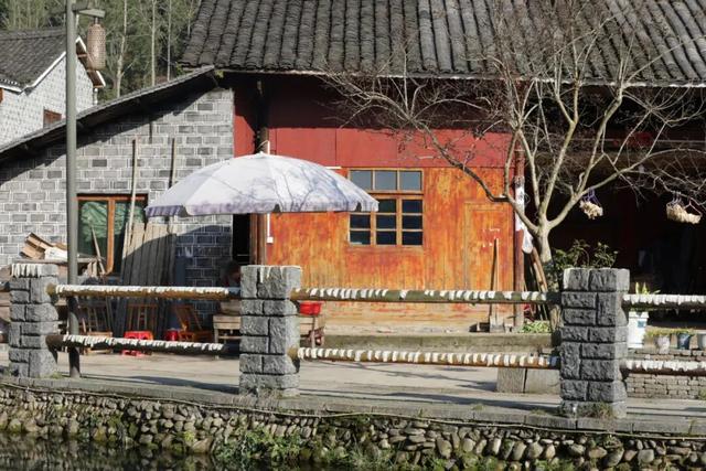 暖冬限定！赴一场“去班味”的阳光慢旅