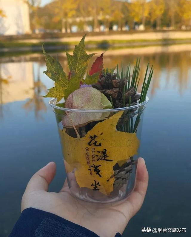【乐游烟台】美到封神!烟台家门口的赏秋神仙地+1