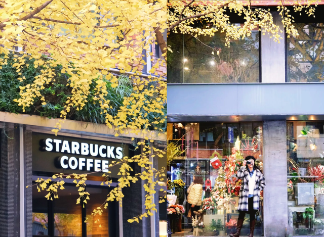 出片率100%！上海人都在找这个“限定露台”！这条“银杏大道”好拍又好吃！