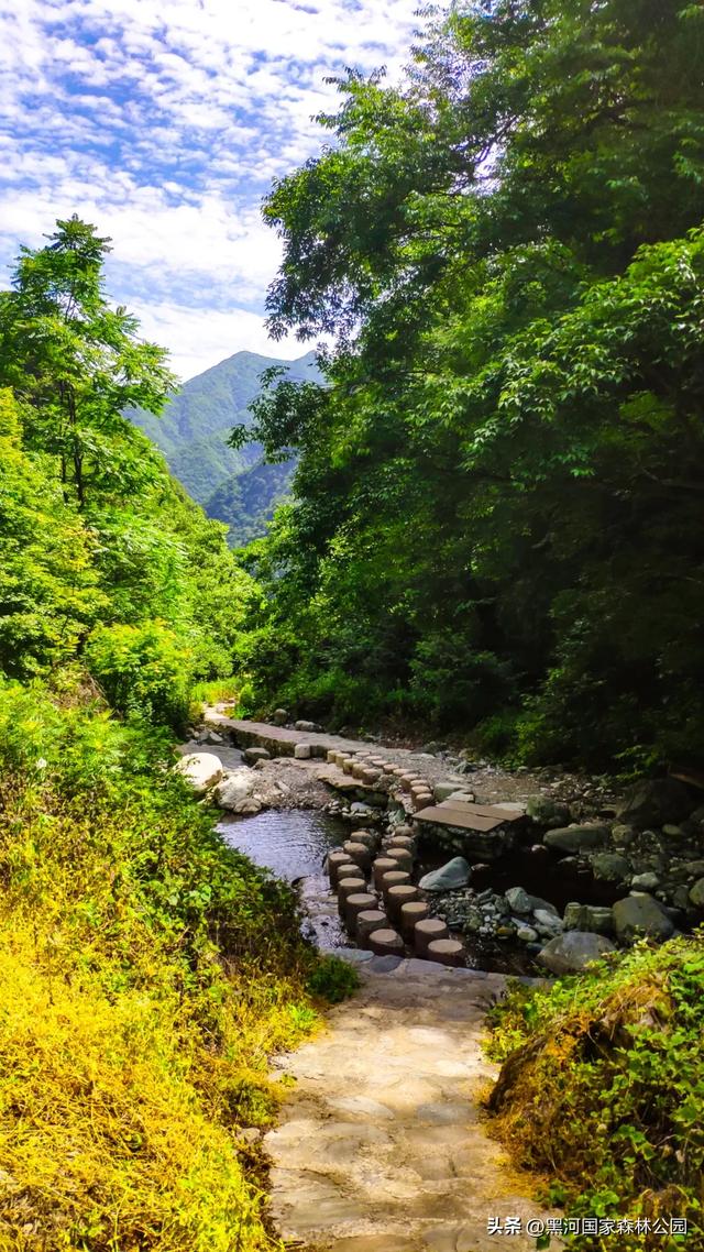 黑河的美，一直都在 | 云游黑河的秋日画卷