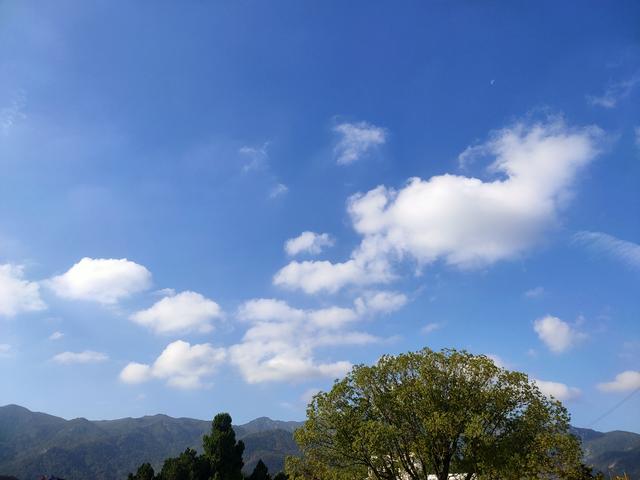 站在同一个地方	，想看到不一样的风景，那就请抬头——