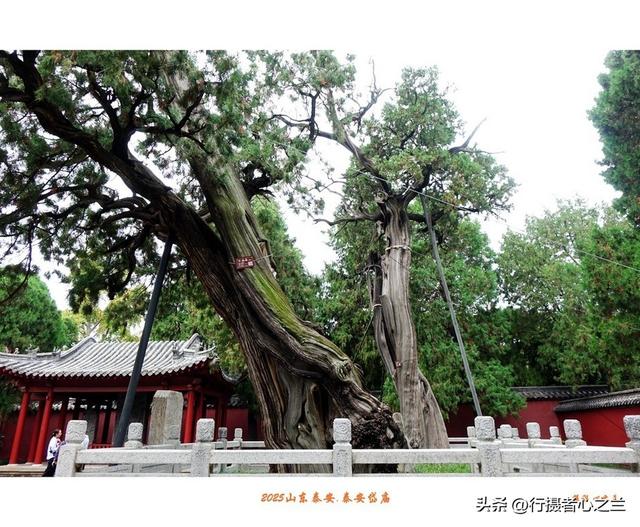 山东行游影记（307）—泰安岱庙（三）