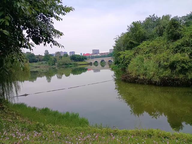 川渝再行记之二十四 眉山篇之二十三 东坡湿地公园（1）