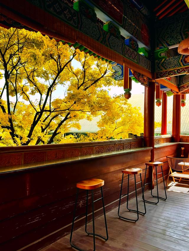 状元楼的秋信，是闹市里一场安静的灿烂